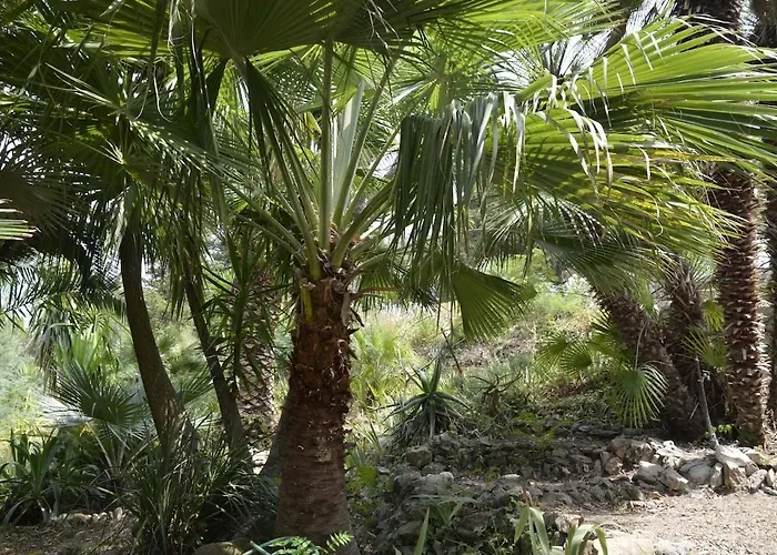 Arte In Der Capoliveri (Isola d'Elba)