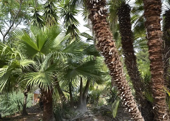 Arte In Der Appartamento Capoliveri (Isola d'Elba)