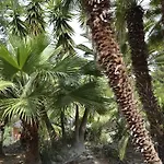 Arte In Der Lägenhet Capoliveri (Isola d'Elba)